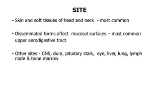 SITE
• Skin and soft tissues of head and neck - most common
• Disseminated forms affect mucosal surfaces – most common
upper aerodigestive tract
• Other sites - CNS, dura, pituitary stalk, eye, liver, lung, lymph
node & bone marrow
 