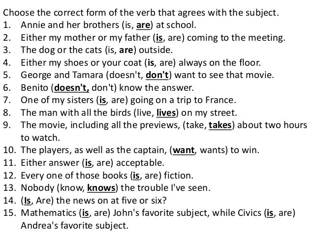 ex of subject verb agreement