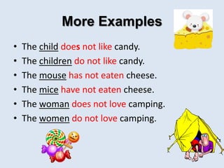 More Examples
• The child does not like candy.
• The children do not like candy.
• The mouse has not eaten cheese.
• The mice have not eaten cheese.
• The woman does not love camping.
• The women do not love camping.
 