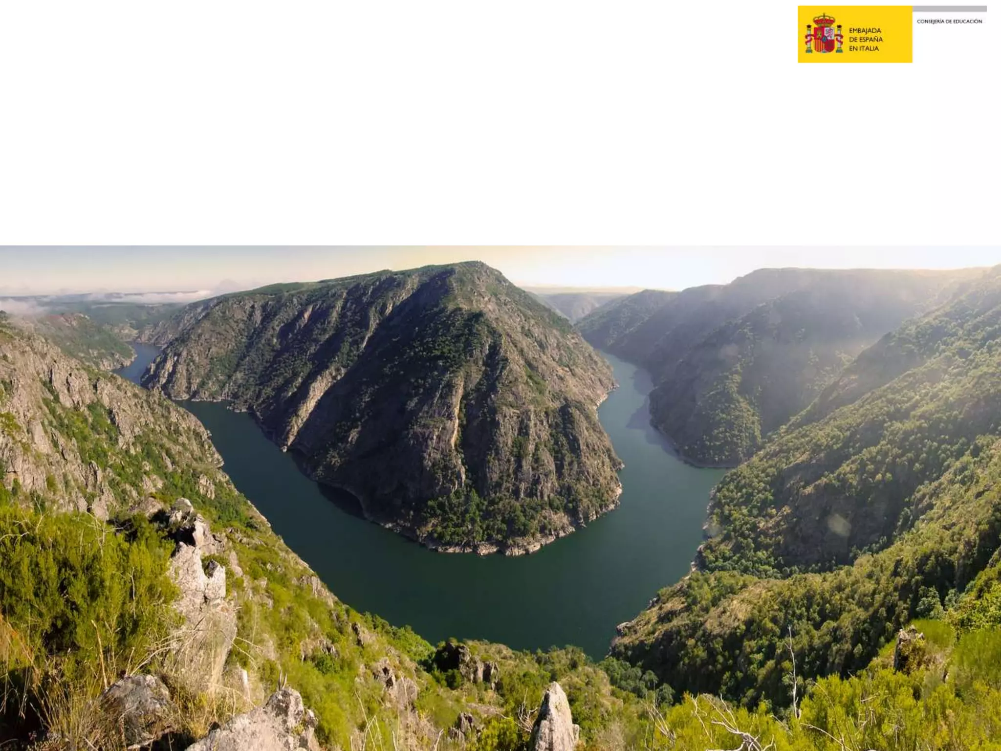 ¿Qué pasaría/qué harías si...?