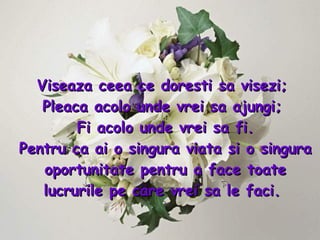 Viseaza ceea ce doresti sa visezi;  Pleaca acolo unde vrei sa ajungi;  Fi acolo unde vrei sa fi. Pentru ca ai o singura viata si o singura oportunitate pentru a face toate lucrurile pe care vrei sa le faci .  