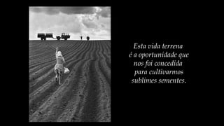 Esta vida terrena
é a oportunidade que
nos foi concedida
para cultivarmos
sublimes sementes.
 