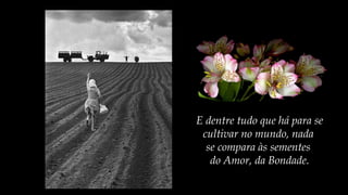 E dentre tudo que há para se
cultivar no mundo, nada
se compara às sementes
do Amor, da Bondade.
 