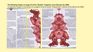 The following image is on page 16 of the “Awake!” magazine, issue February 22, 2000:
La siguiente imagen se encuentra en la página 16 de la revista “¡Despertad!”, edición 22 de febrero de 2000:
 