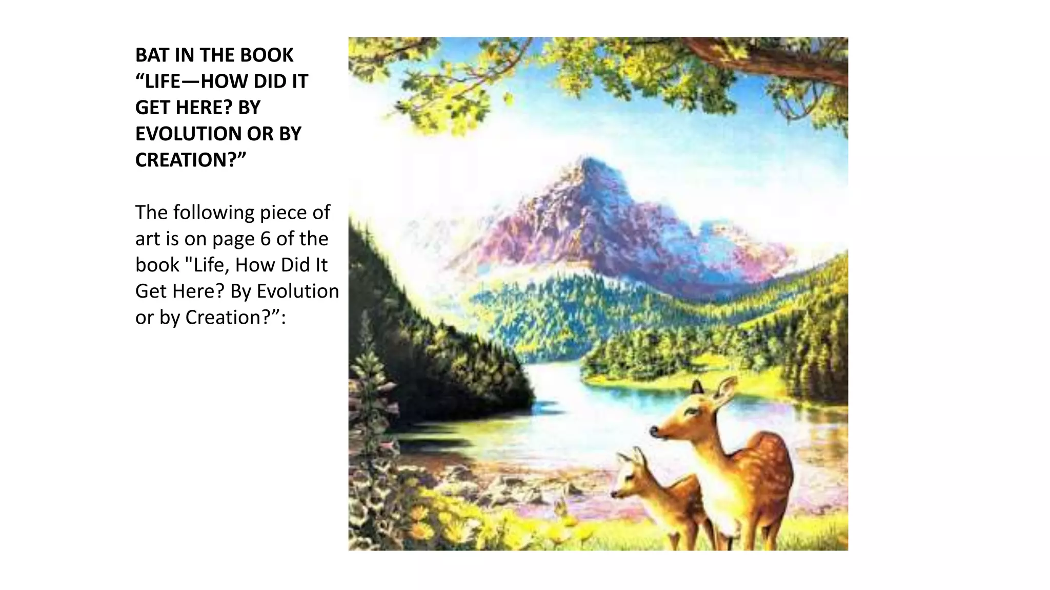 BAT IN THE BOOK
“LIFE—HOW DID IT
GET HERE? BY
EVOLUTION OR BY
CREATION?”
The following piece of
art is on page 6 of the
book "Life, How Did It
Get Here? By Evolution
or by Creation?”:
 