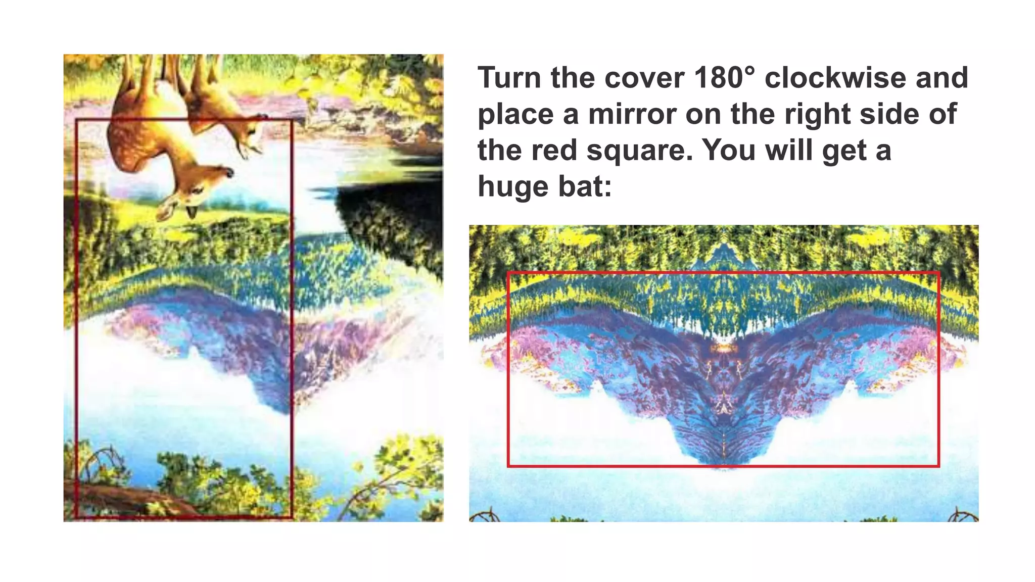 Turn the cover 180° clockwise and
place a mirror on the right side of
the red square. You will get a
huge bat:
 