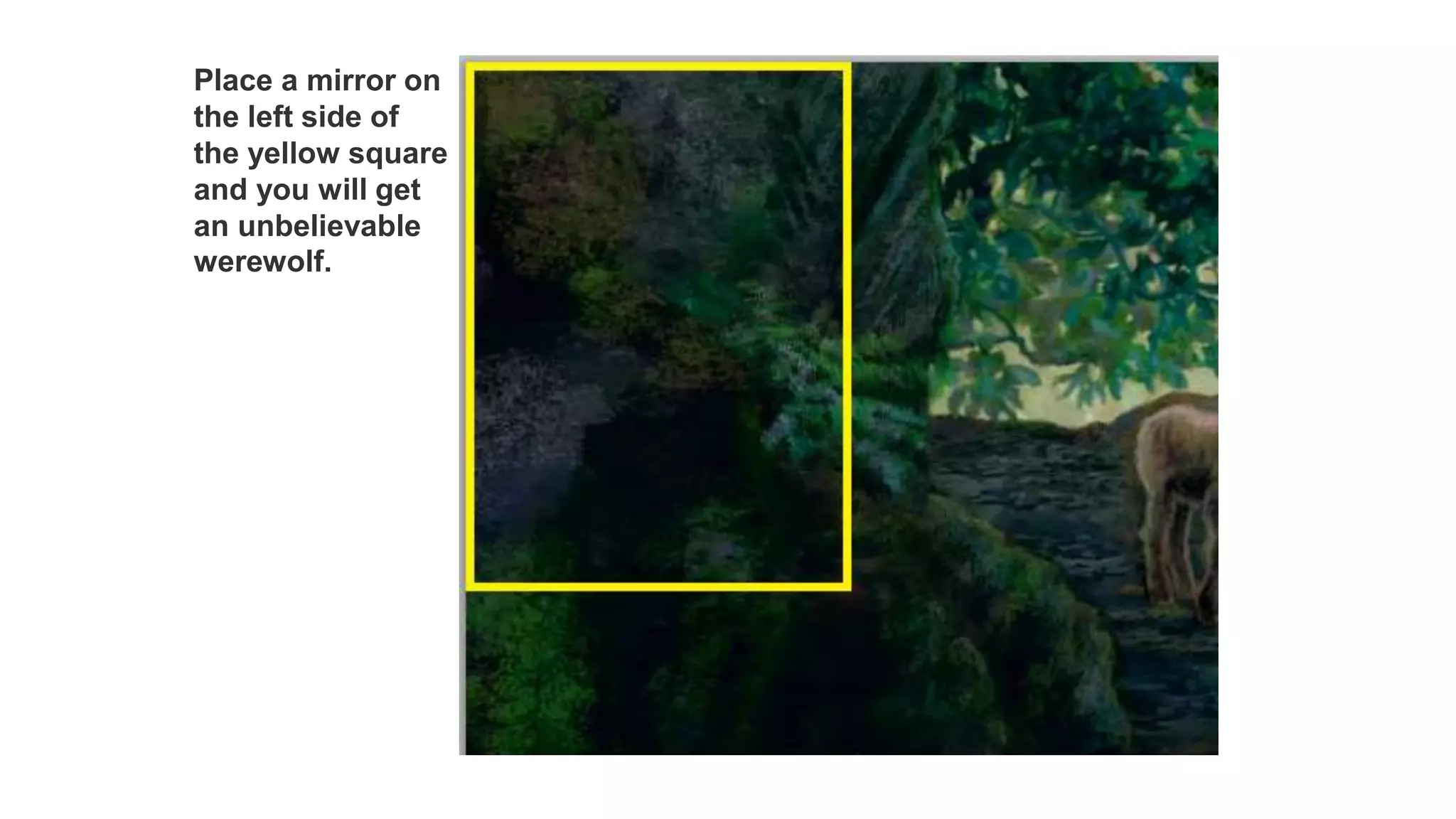 Place a mirror on
the left side of
the yellow square
and you will get
an unbelievable
werewolf.
 