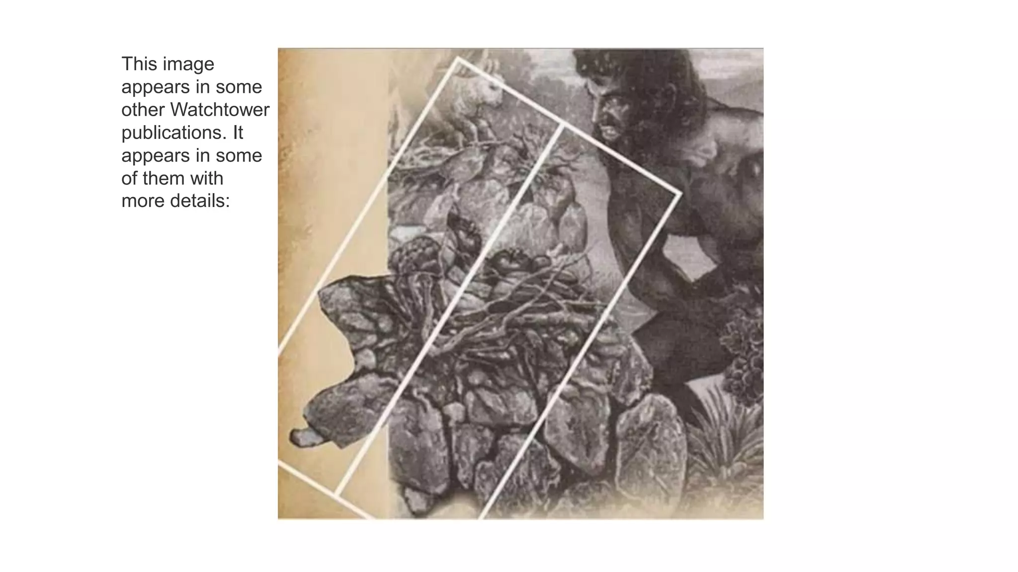 This image
appears in some
other Watchtower
publications. It
appears in some
of them with
more details:
 