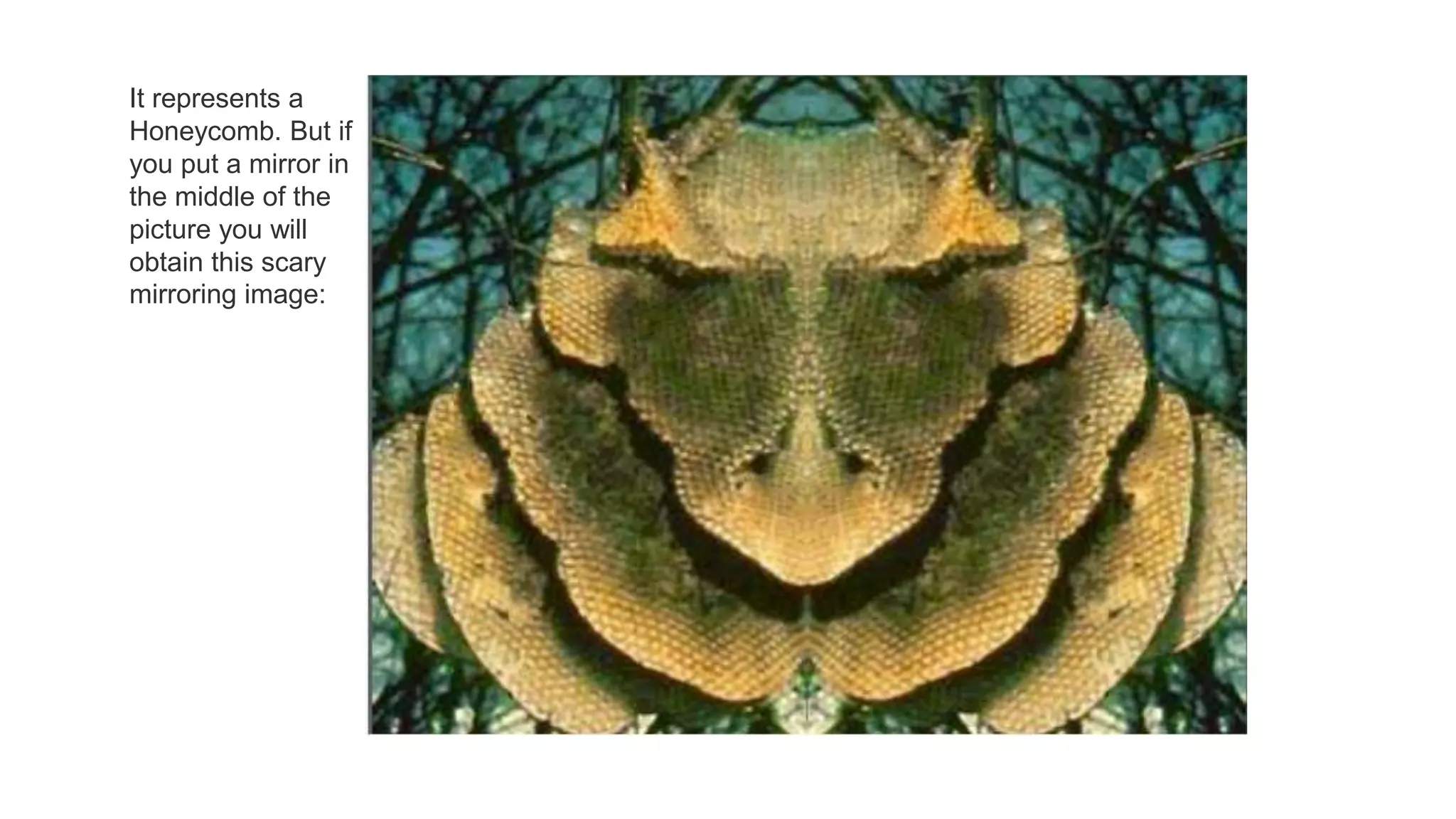 It represents a
Honeycomb. But if
you put a mirror in
the middle of the
picture you will
obtain this scary
mirroring image:
 