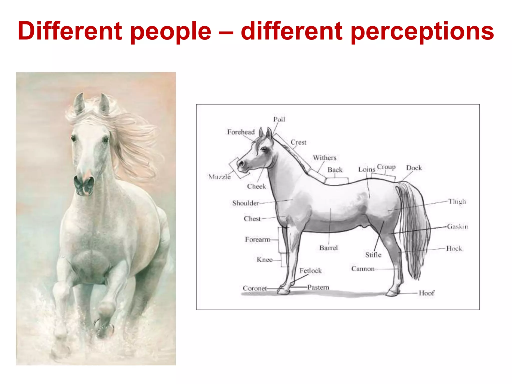 Unlocking The Secrets Of Subliminal Perception - d9wwcwt