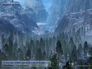 Simplement beau “ C’est sans artifice que la beauté est la plus étincelante.”  -Saint Jérôme 