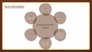 BOUNDARIES
Submandibular
Space
Superiorly
Mylohyoid Muscle
Anteriorly
Submetal Space
Laterally
Skin
Superficial Fascia
Platysma Muscle
Superficial Layer of
Deep Cervical Fascia
Lower Border of
Mandible
Inferiorly
Anterior Belly of
Digastric Muscle
Posterior belly of
Digastric Muscle
Posteriorly
Hyoid Bone
Medially
Mylohyoid Muscle
Hyoglossus Muscle
Styloglossus Muscle
 