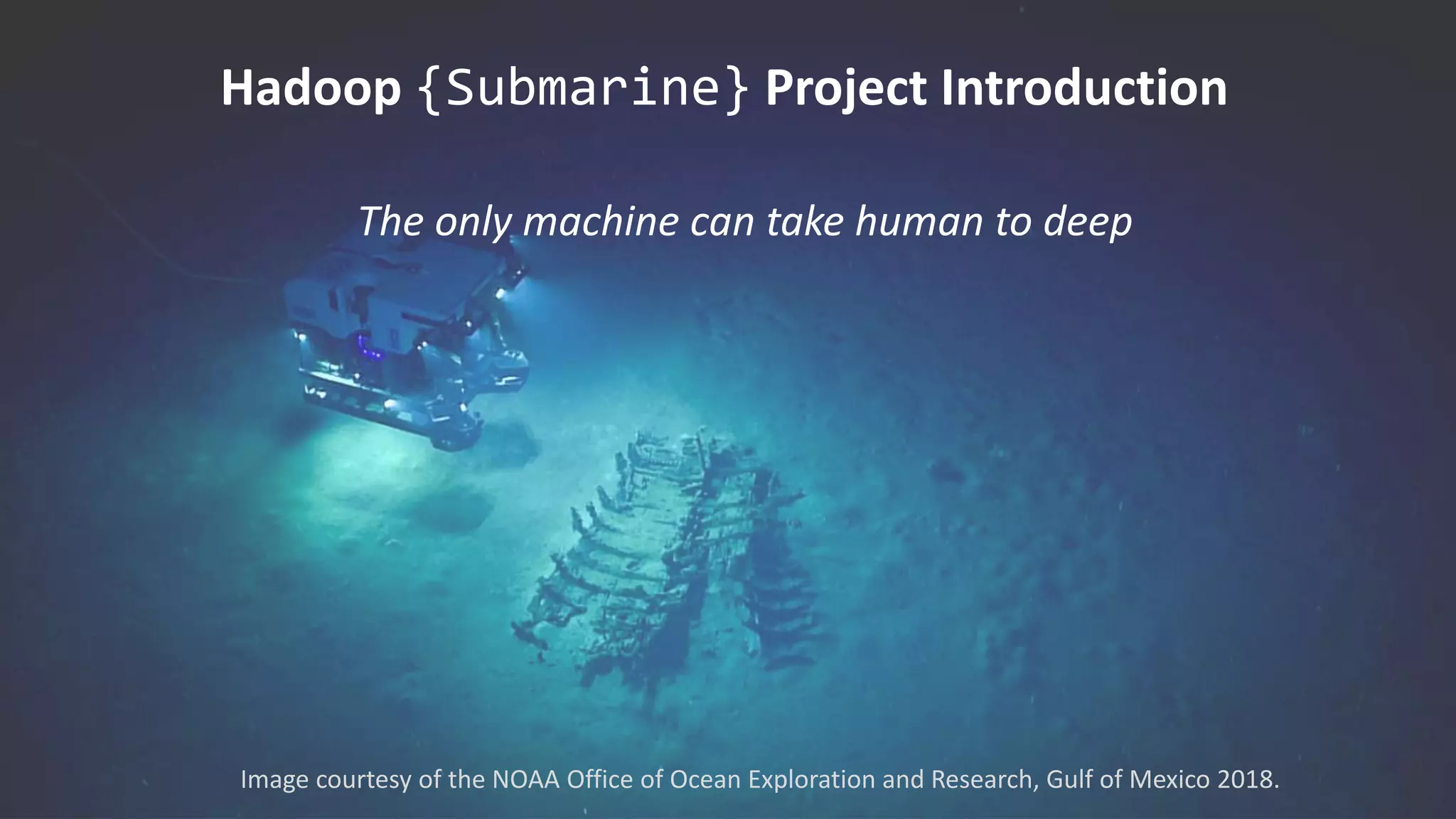 Hadoop {Submarine} Project Introduction
Image courtesy of the NOAA Office of Ocean Exploration and Research, Gulf of Mexico 2018.
The only machine can take human to deep
 