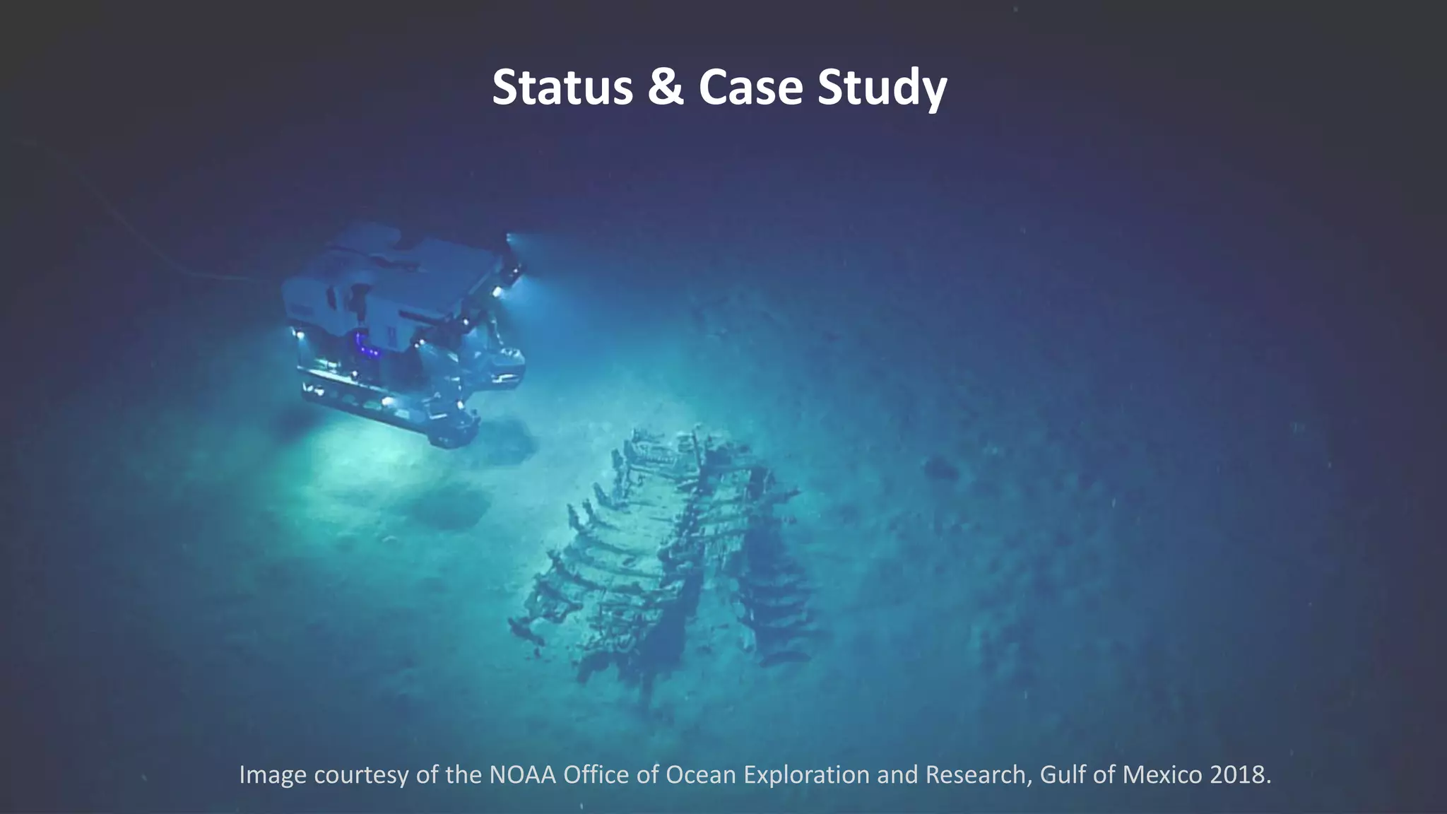 Status & Case Study
Image courtesy of the NOAA Office of Ocean Exploration and Research, Gulf of Mexico 2018.
 