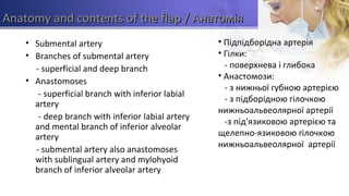 Anatomy and contents of the flapAnatomy and contents of the flap / Анатомія/ Анатомія
• Submental artery
• Branches of submental artery
- superficial and deep branch
• Anastomoses
- superficial branch with inferior labial
artery
- deep branch with inferior labial artery
and mental branch of inferior alveolar
artery
- submental artery also anastomoses
with sublingual artery and mylohyoid
branch of inferior alveolar artery
• Підпідборідна артерія
• Гілки:
- поверхнева і глибока
• Анастомози:
- з нижньої губною артерією
- з підборідною гілочкою
нижньоальвеолярної артерії
-з під'язиковою артерією та
щелепно-язиковою гілочкою
нижньоальвеолярної артерії
 