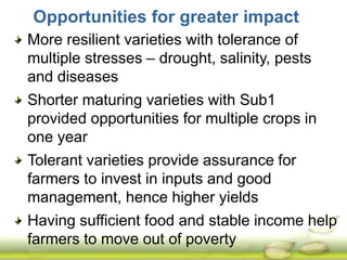 Submergence tolerant rice 