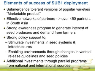 Submergence tolerant rice 