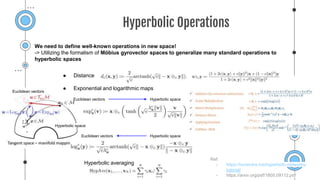 Hyperbolic Image Embedding.pptx