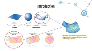 Hyperbolic Image Embedding.pptx