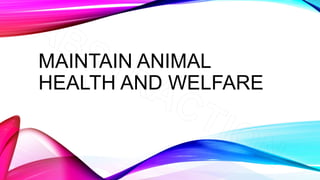 MAINTAIN ANIMAL
HEALTH AND WELFARE
 