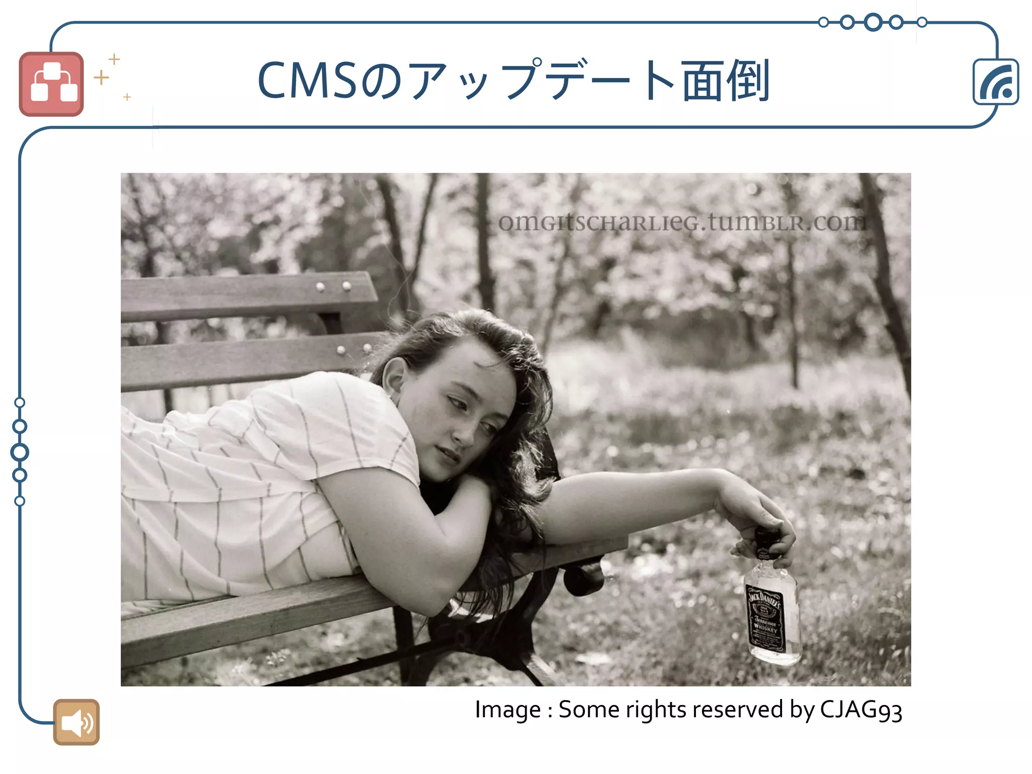 CMSのアップデート面倒

Image	
  :	
  Some	
  rights	
  reserved	
  by	
  CJAG93	

 