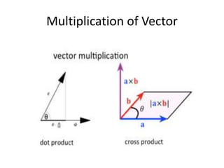 Multiplication of Vector
 