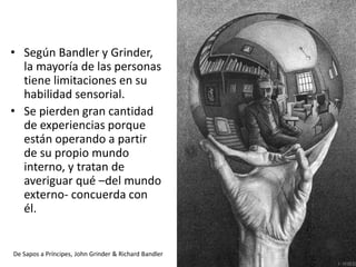 • Según Bandler y Grinder,
la mayoría de las personas
tiene limitaciones en su
habilidad sensorial.
• Se pierden gran cantidad
de experiencias porque
están operando a partir
de su propio mundo
interno, y tratan de
averiguar qué –del mundo
externo- concuerda con
él.

De Sapos a Príncipes, John Grinder & Richard Bandler

 