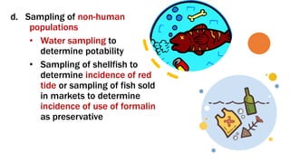 Submodule 5 - Sampling Designs.pdf