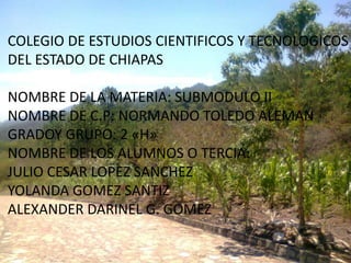 COLEGIO DE ESTUDIOS CIENTIFICOS Y TECNOLOGICOS
DEL ESTADO DE CHIAPAS
NOMBRE DE LA MATERIA: SUBMODULO II
NOMBRE DE C.P: NORMANDO TOLEDO ALEMAN
GRADOY GRUPO: 2 «H»
NOMBRE DE LOS ALUMNOS O TERCIA:
JULIO CESAR LOPEZ SANCHEZ
YOLANDA GOMEZ SANTIZ
ALEXANDER DARINEL G. GOMEZ
 