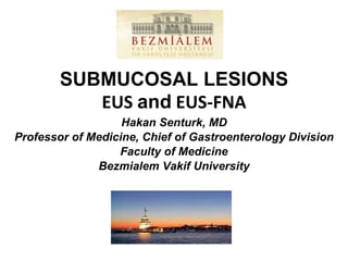 SUBMUCOSAL LESIONS EUS  and  EUS-FNA Hakan Senturk, MD Professor of Medicine, Chief of Gastroenterology Division Faculty of Medicine Bezmialem Vakif University  