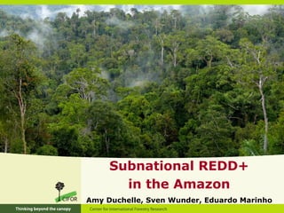 SubnationalREDD+ 
in the Amazon 
Amy Duchelle, Sven Wunder, Eduardo Marinho  