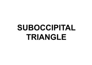 SUBOCCIPITAL
TRIANGLE
 