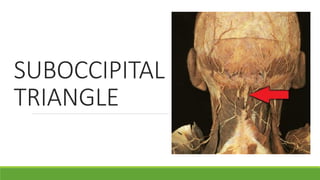 SUBOCCIPITAL
TRIANGLE
 