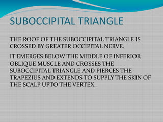 SUBOCCIPITAL TRIANGLE
THE ROOF OF THE SUBOCCIPITAL TRIANGLE IS
CROSSED BY GREATER OCCIPITAL NERVE.
IT EMERGES BELOW THE MIDDLE OF INFERIOR
OBLIQUE MUSCLE AND CROSSES THE
SUBOCCIPITAL TRIANGLE AND PIERCES THE
TRAPEZIUS AND EXTENDS TO SUPPLY THE SKIN OF
THE SCALP UPTO THE VERTEX.
 