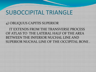 SUBOCCIPITAL TRIANGLE
4) OBLIQUUS CAPITIS SUPERIOR
IT EXTENDS FROM THE TRANSVERSE PROCESS
OF ATLAS TO THE LATERAL HALF OF THE AREA
BETWEEN THE INFERIOR NUCHAL LINE AND
SUPERIOR NUCHAL LINE OF THE OCCIPITAL BONE .
 