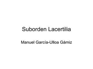 Suborden Lacertilia

Manuel García-Ulloa Gámiz
 