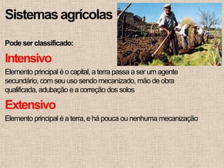 Sistemas agrícolas
Pode ser classificado:

Intensivo
Elemento principal é o capital, a terra passa a ser um agente
secundário, com seu uso sendo mecanizado, mão de obra
qualificada, adubação e a correção dos solos

Extensivo
Elemento principal é a terra, e há pouca ou nenhuma mecanização
 