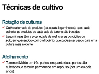 Técnicas de cultivo
Rotação de culturas
 Cultivo alternado de produtos (ex. cerais, leguminosos), após cada
  colheita, os produtos de cada lado do terreno são trocados
 Leguminosas têm a propriedade de melhorar as condições do
  solo, enriquecendo-o com o nitrogênio, que poderá ser usado para uma
  cultura mais exigente


Afolhamento
 Terreno dividido em três partes, enquanto duas partes são
  cultivadas, a terceira permanece em repouso (por um ou dois
  anos)
 