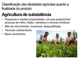 Classificação das atividades agrícolas quanto a
finalidade do produto:
Agricultura de subsistência
• Pequenas e médias propriedades, em que predominam
  lavouras de milho, feijão, mandioca e árvores frutíferas
• Mão de obra familiar, numerosa, desqualificada
• Técnicas rudimentares
• Baixo rendimento
 