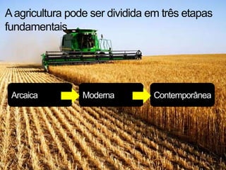 A agricultura pode ser dividida em três etapas
fundamentais




 Arcaica         Moderna        Contemporânea
 