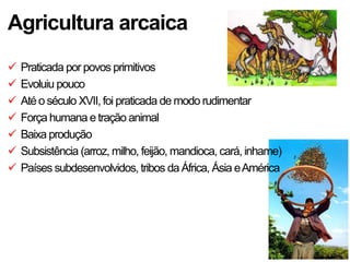 Agricultura arcaica
   Praticada por povos primitivos
   Evoluiu pouco
   Até o século XVII, foi praticada de modo rudimentar
   Força humana e tração animal
   Baixa produção
   Subsistência (arroz, milho, feijão, mandioca, cará, inhame)
   Países subdesenvolvidos, tribos da África, Ásia e América
 