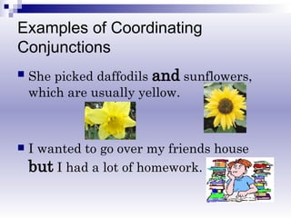 Examples of Coordinating Conjunctions She picked daffodils  and  sunflowers, which are usually yellow. I wanted to go over my friends house  but  I had a lot of homework. 