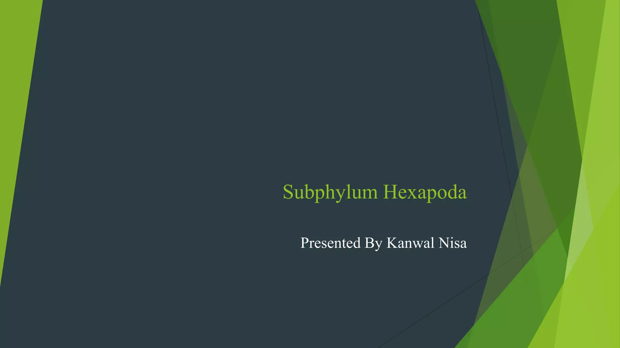 Subphylum Hexapoda
Presented By Kanwal Nisa
 