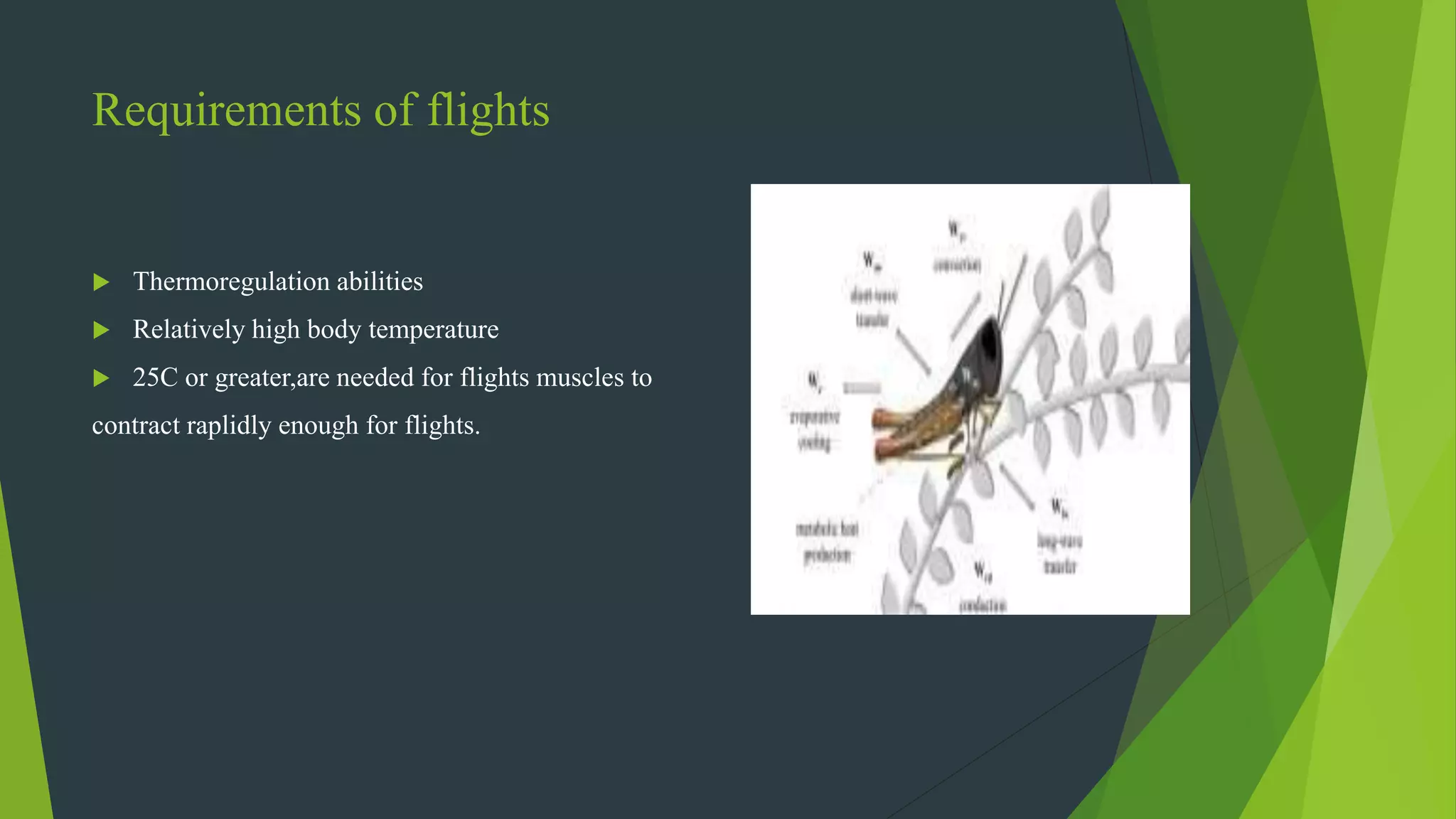 Requirements of flights
 Thermoregulation abilities
 Relatively high body temperature
 25C or greater,are needed for flights muscles to
contract raplidly enough for flights.
 