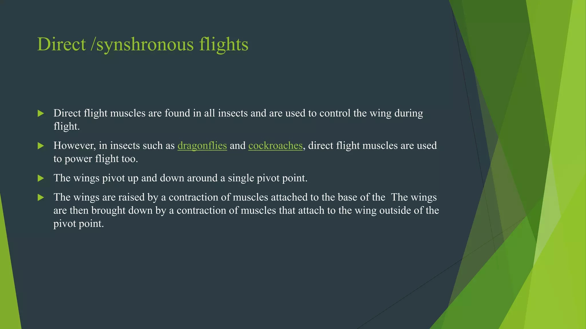 Direct /synshronous flights
 Direct flight muscles are found in all insects and are used to control the wing during
flight.
 However, in insects such as dragonflies and cockroaches, direct flight muscles are used
to power flight too.
 The wings pivot up and down around a single pivot point.
 The wings are raised by a contraction of muscles attached to the base of the The wings
are then brought down by a contraction of muscles that attach to the wing outside of the
pivot point.
 