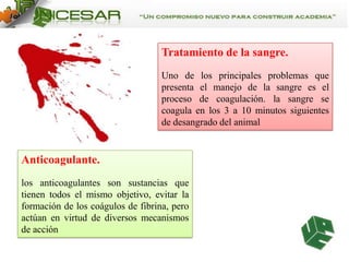 Tratamiento de la sangre.
Uno de los principales problemas que
presenta el manejo de la sangre es el
proceso de coagulación. la sangre se
coagula en los 3 a 10 minutos siguientes
de desangrado del animal

Anticoagulante.
los anticoagulantes son sustancias que
tienen todos el mismo objetivo, evitar la
formación de los coágulos de fibrina, pero
actúan en virtud de diversos mecanismos
de acción

 