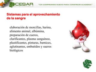 Sistemas para el aprovechamiento
de la sangre
elaboración de morcillas, harina,
alimento animal, albúmina,
preparación de cueros,
clarificantes, plasma sanguíneo,
plastificantes, pinturas, barnices,
aglutinantes, embutidos y sueros
biológicos

 