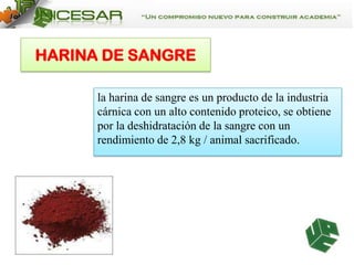 HARINA DE SANGRE
la harina de sangre es un producto de la industria
cárnica con un alto contenido proteico, se obtiene
por la deshidratación de la sangre con un
rendimiento de 2,8 kg / animal sacrificado.

 