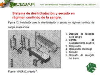 Sistema de deshidratación y secado en
régimen continúo de la sangre.

 