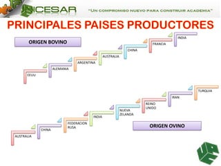 INDIA

ORIGEN BOVINO

FRANCIA
CHINA
AUSTRALIA
ARGENTINA

ALEMANIA
EEUU

TURQUIA
IRAN

INDIA

CHINA
AUSTRALIA

FEDERACION
RUSA

NUEVA
ZELANDA

REINO
UNIDO

ORIGEN OVINO

 